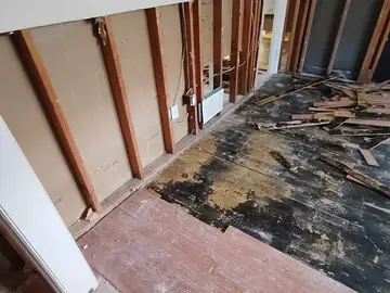 Post-Leak Cleanup & Debris Removal project documentation photo 89